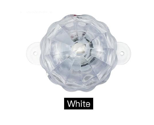 BD-0262