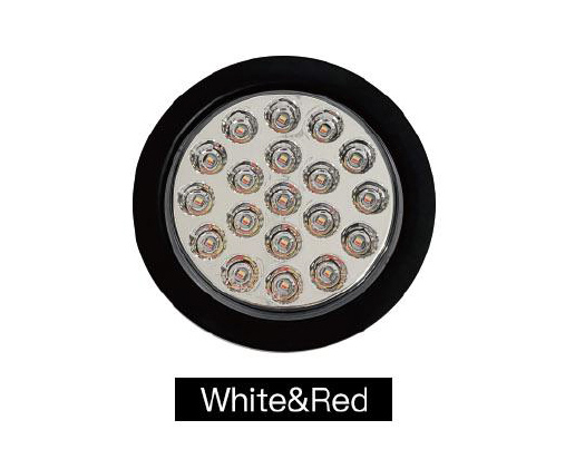 WD-6056